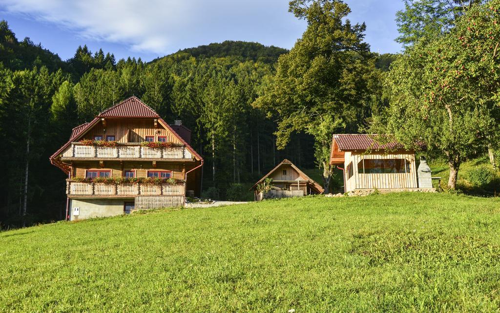 Apartments Petek Gornji Grad Kamer foto