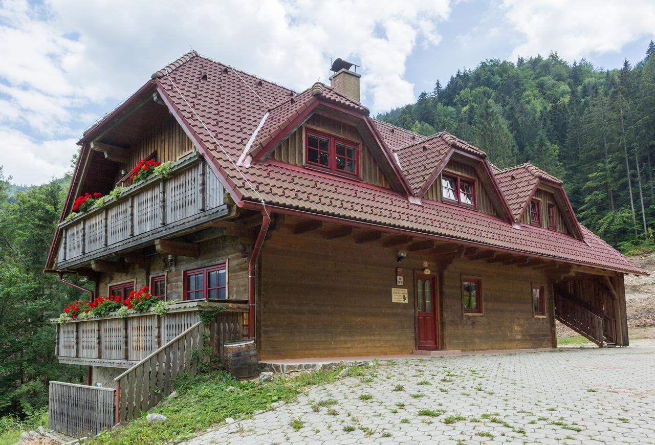 Apartments Petek Gornji Grad Buitenkant foto